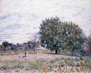 Walnussbäume, Effekt des Sonnenuntergangs - Erster Tag im Oktober, 1882