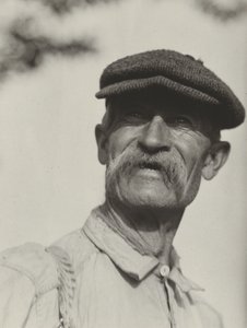Bly von Alfred Stieglitz
