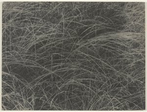 Äquivalent von Alfred Stieglitz