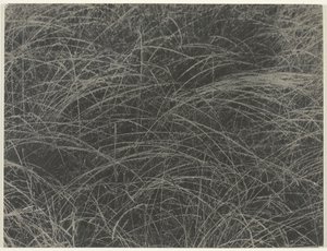 Äquivalent, 1927 von Alfred Stieglitz
