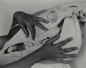  von Alfred Stieglitz
