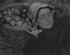  von Alfred Stieglitz