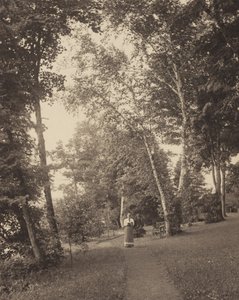 Hedwigspfad, Oaklawn, Lake George von Alfred Stieglitz