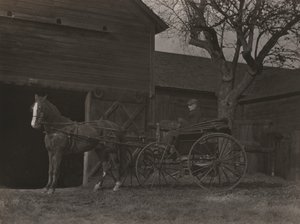 Pferd und Wagen von Alfred Stieglitz