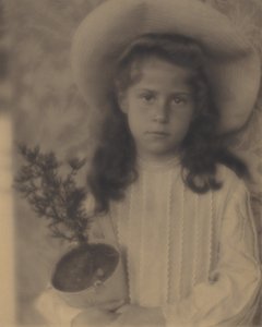 Kitty—Blumentopf von Alfred Stieglitz