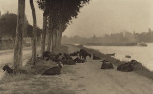 An der Seine—Nahe Paris