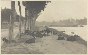 An der Seine—In der Nähe von Paris von Alfred Stieglitz