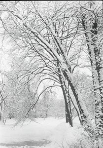 Schneelandschaft, Berlin, 188892 von Alfred Stieglitz