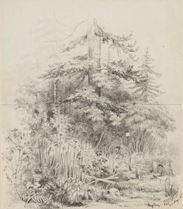 Indianischer Begräbnisplatz, Oregon, 1841 von Alfred Thomas Agate