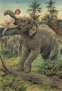 Arabische Nächte: Die Geschichte von Sindbad dem Seefahrer von Alfred W. Cooper