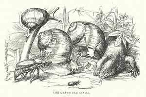 Hans Christian Andersen: Die glückliche Familie