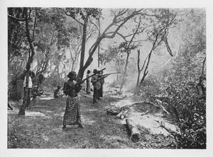 Elefanten-Kraaling in Ceylon in Richtung des Geheges, ca. 1890, 1910 von Alfred William Amandus Plate