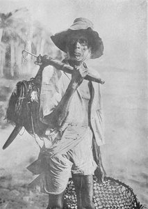 Fischer, ca. 1890, 1910