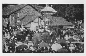 Kandy Perahera - Eine Prozession von Elefanten, durchgeführt von den Kandy-Häuptlingen