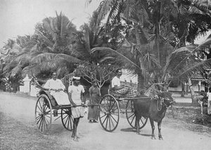 Rikscha und Rennwagen, ca. 1890 von Alfred William Amandus Plate