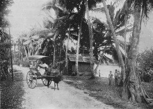 Straße neben dem Kelaniya-Fluss