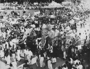 Heiliger Elefant in der Perahera-Prozession, Kandy, Ceylon, um 1890, 1910 von Alfred William Amandus Plate