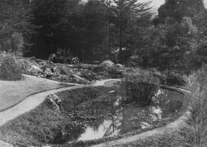 Der Steingarten, Hakgalla-Gärten, Nuwara Eliya, um 1890, 1910 von Alfred William Amandus Plate
