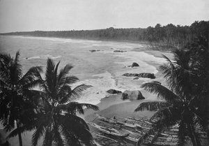 Blick vom Mount Lavinia, zeigt Kokospalmen entlang der Küste, um 1890-1910 von Alfred William Amandus Plate