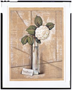 Gardenie im Glas, ca. 1936