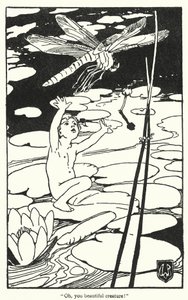 Illustration für Die Wasserkinder von Charles Kingsley