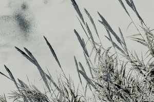Ernte