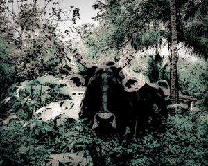 Die Lodge in der Nähe von Periyar