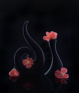  von Alice Sheng