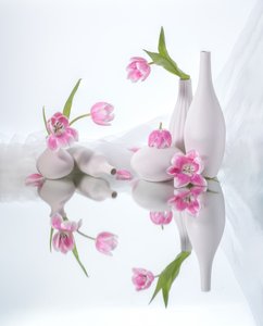  von Alice Sheng