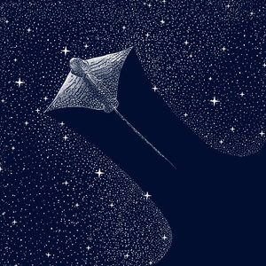 Kosmischer Adlerrochen