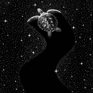 Kosmische Meeresschildkröte