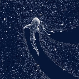 Walhai-Galaxie-Reise