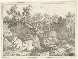 Landschaft mit Jäger bei großem Baum von Allaert van Everdingen