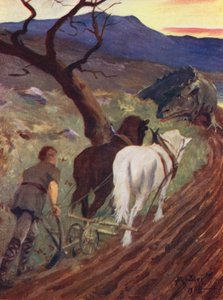 Der Sohn des starken Mannes des Waldes von Allan Stewart