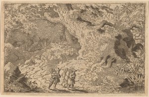 Ein dichter Wald von Allart van Everdingen