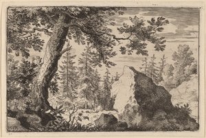 Fels im Wald von Allart van Everdingen