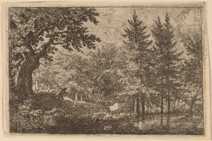 Tannen am Wasser von Allart van Everdingen