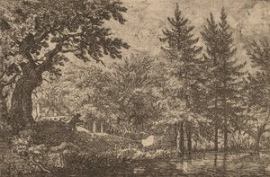 Tannen am Wasser, wahrscheinlich ca. 1645-1656 von Allart van Everdingen
