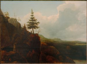 Gebirgslandschaft mit Tanne