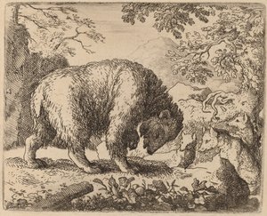 Der Bär abgelenkt durch Gespräche über Honig, wahrscheinlich ca. 1645-1656