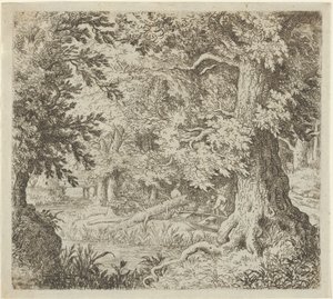 Der Bach im Wald, 17. Jahrhundert von Allart van Everdingen