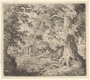 Der Bach im Wald von Allart van Everdingen