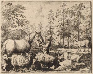 Das Pferd und der Hirsch von Allart van Everdingen