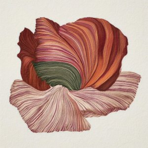 Bunte organische Blüte