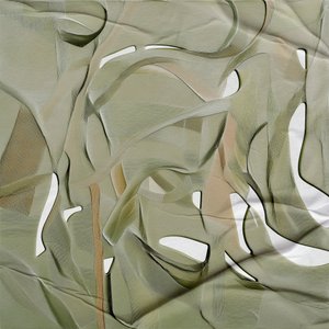 Sanfter organischer Fluss von Alma