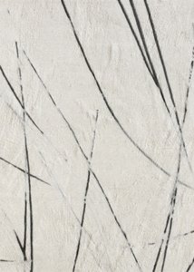 Organische Linienstruktur von Alma