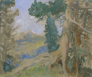 Scheiblahn am Abend von Alois Penz