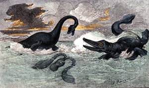 Lias-Periode (Unterjura): Plesiosaurier und Ichthyosaurier, natürliche Schöpfung und Lebewesen (Zeichnung von A. Demarle. 1885)