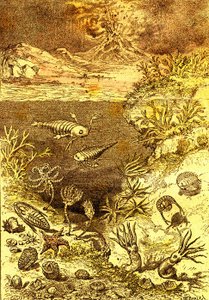 Urgeschichte-Ende des Silurischen Zeitraums: Natürliche Schöpfung und Lebewesen (J. Rengade) Zeichnung A. Demarle. 1885