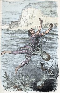 Zoologische Tafel; Kopffüßer-Mollusken, Schwimmer von einem großen Oktopus ergriffen und musquée eledone (Zoologische Platte: Schwimmer von einem Oktopus ergriffen) Gravur aus 